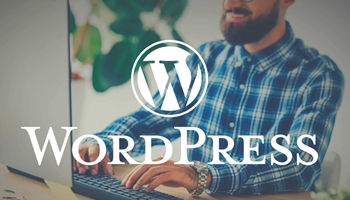 Soporte para WordPress